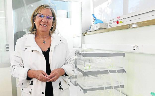 Un equipo de la UVA crea un sistema para reducir el amoníaco de las granjas