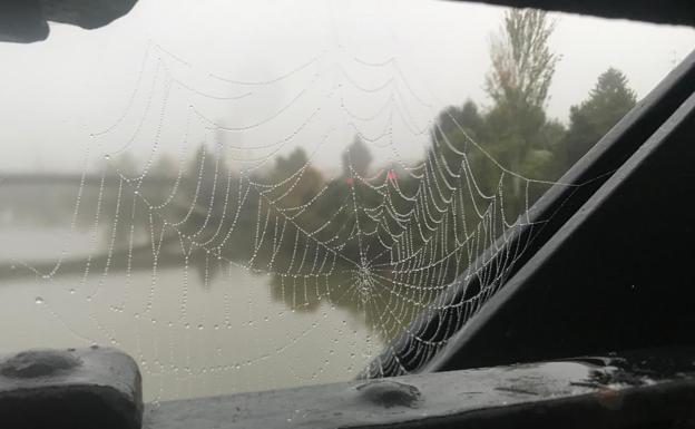 El primer día de niebla del otoño humedece Valladolid