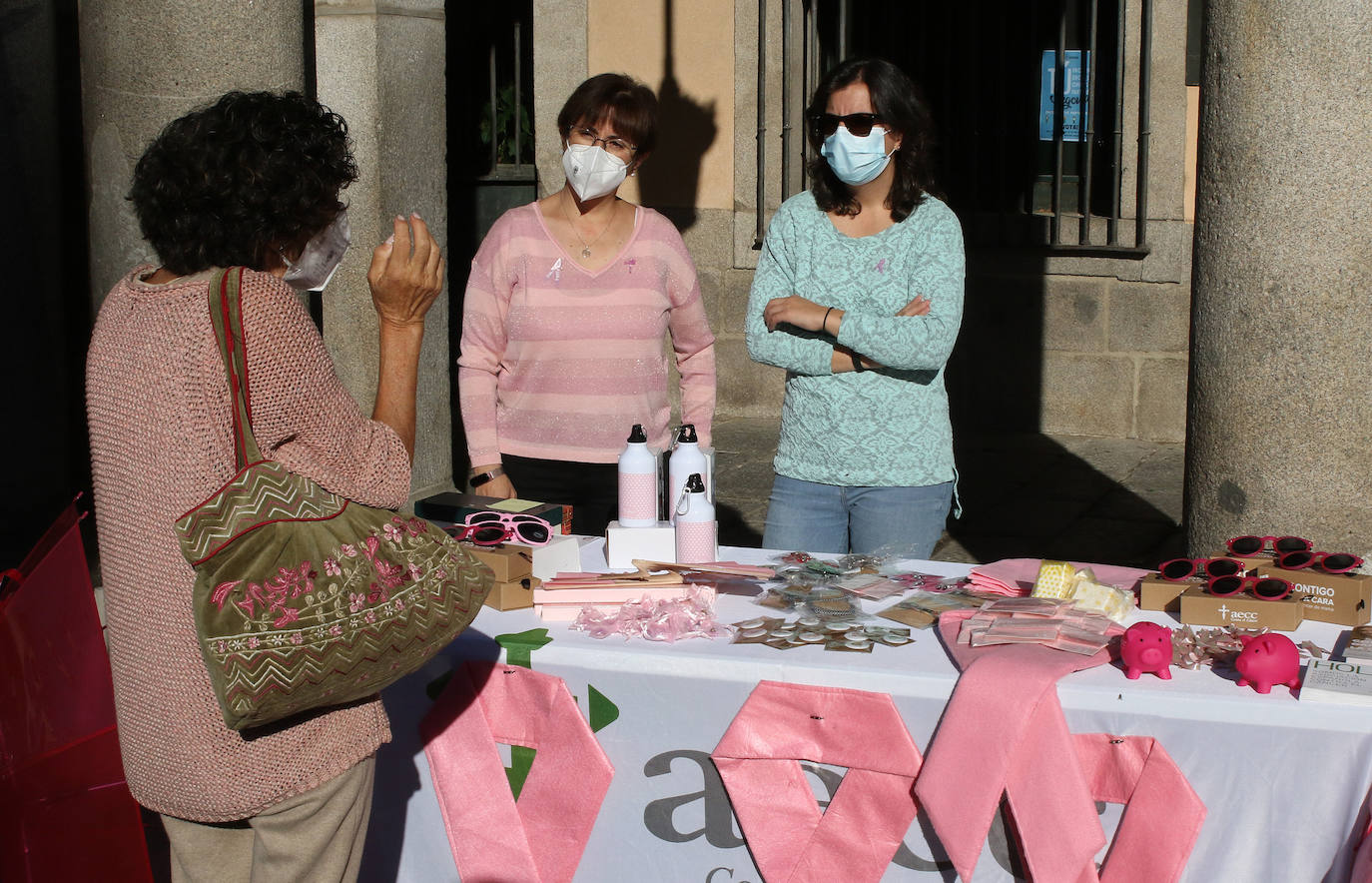Acto del día del cáncer de mama en Segovia