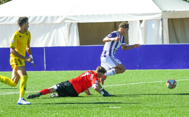 El Real Valladolid Juvenil arrolla al Alcorcón