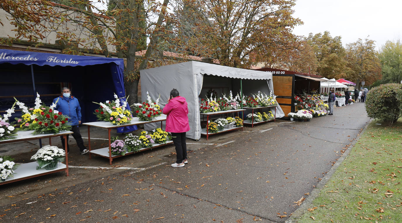 La venta de flores en Palencia con motivo de Todos los Santos recupera los niveles de 2019