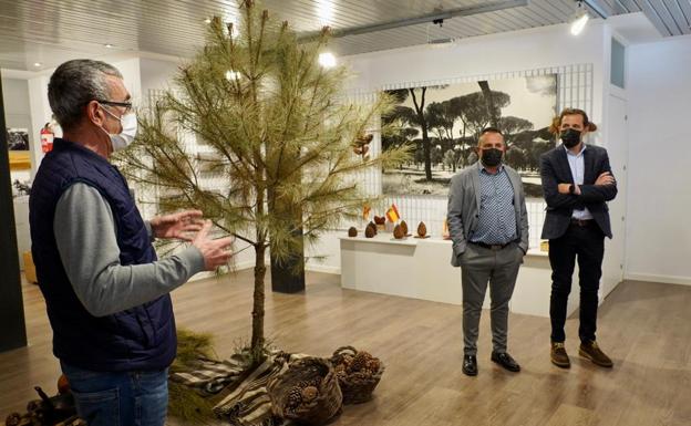 Conrado Íscar se interesa por la exposición temática 'Pedrajas y el piñón. Pasado, presente y futuro'