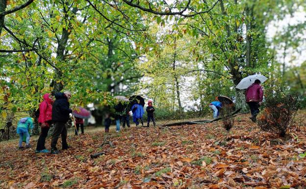 Fiesta de otoño y castañadas en una jornada lluviosa en la provincia de Salamanca