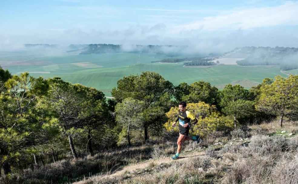Entre pinos y páramos, una ruta por la Paramada en Valladolid