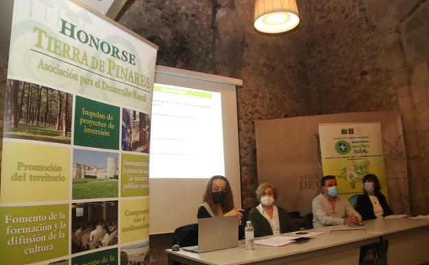 Honorse mantendrá la composición de su junta directiva por operatividad