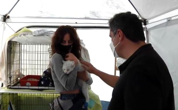 El emocionante reencuentro de una familia de La Palma con sus perros perdidos