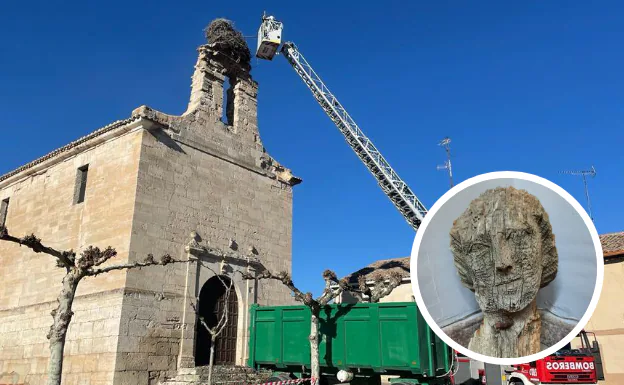 Valladolid: Sorpresa En La Retirada Del Nido De La Ermita De Piña De ...