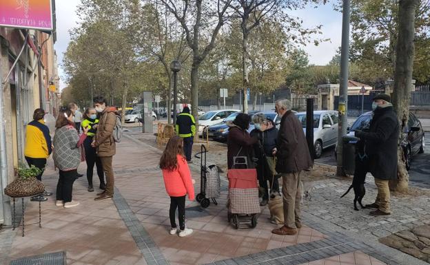 Muere electrocutado un perro en la avenida de la Constitución al tocar una farola