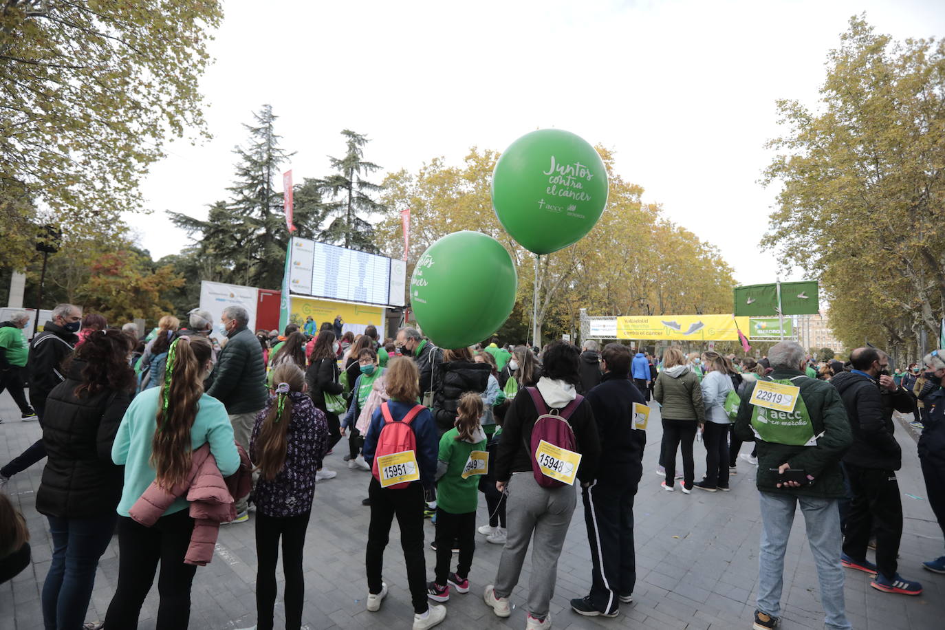 Marcha contra el Cáncer en Valladolid (5)