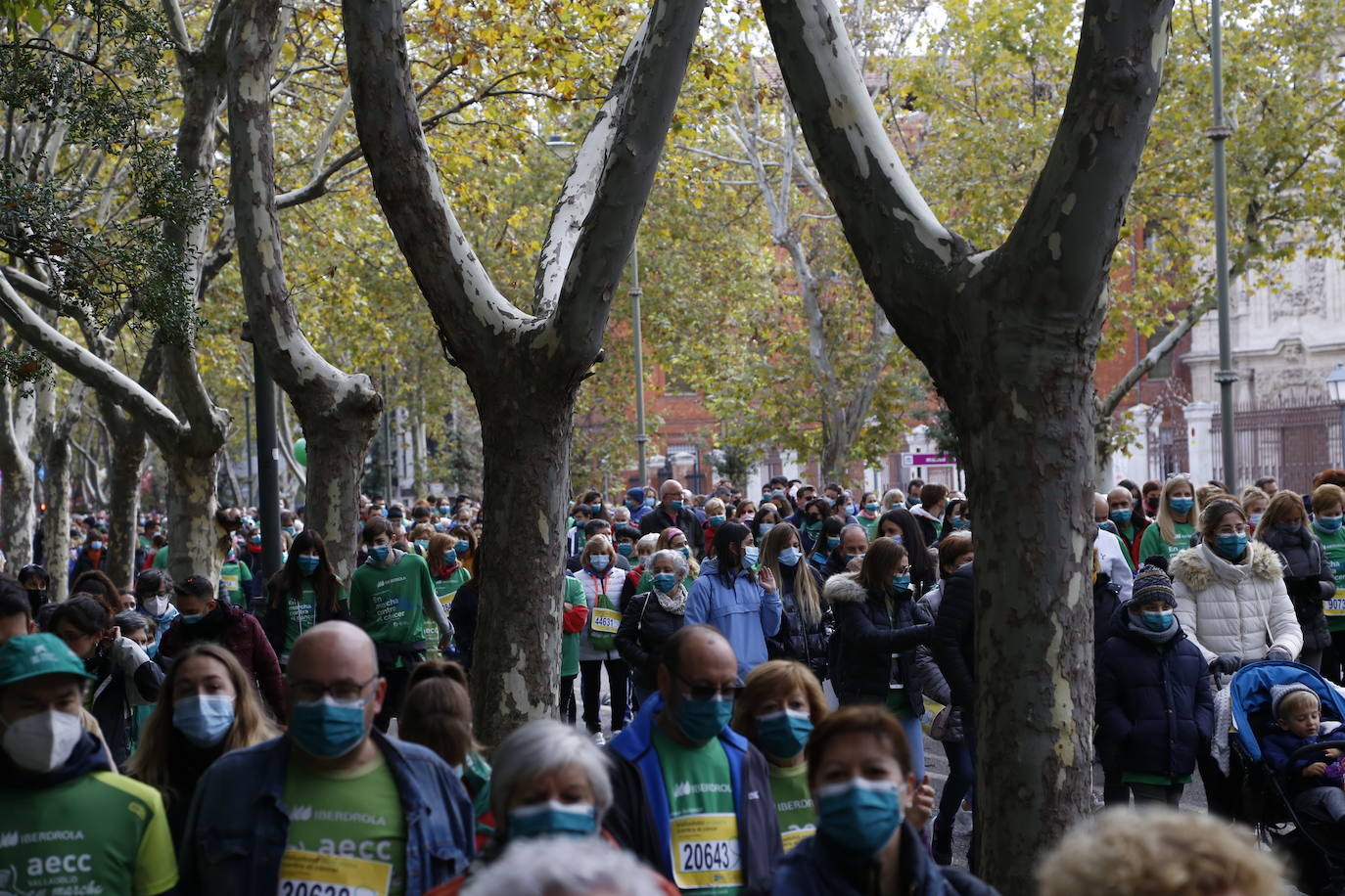 Marcha contra el Cáncer en Valladolid (7)