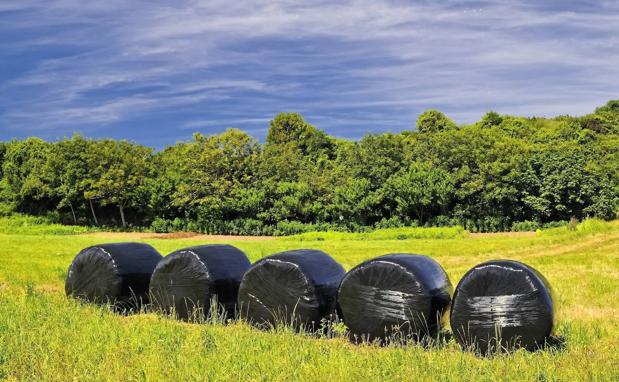 El agro europeo y el cambio climático