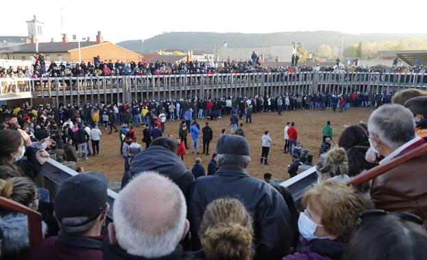 Multitudinaria respuesta de público en Traspinedo ante el primer toro del cajón de Castilla y León