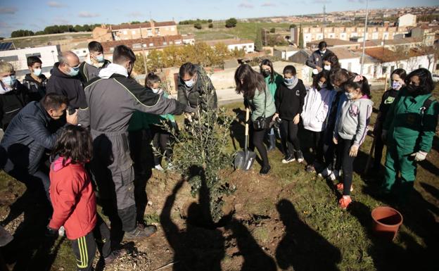 El Ayuntamiento de Salamanca siembra 700 plantas en una parcela del barrio Chamberí a través de una iniciativa educativa