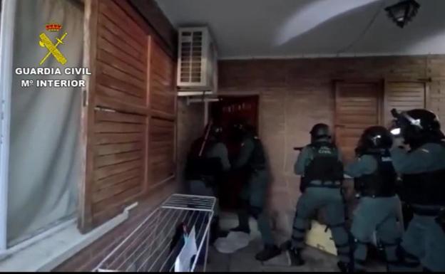 Desmantelan un laboratorio con 1.000 plantas de marihuana en Ávila