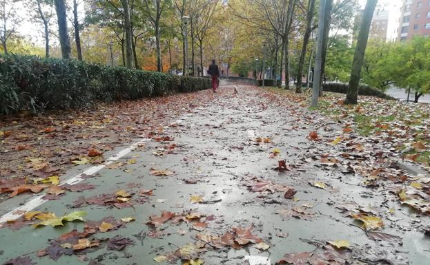 Una masa gélida congelará el ambiente con lluvia y aguanieve toda la semana en Valladolid