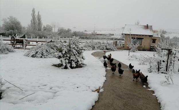 La nieve cierra la carretera a la Peña de Francia y causa algunos problemas en vías secundarias de Salamanca