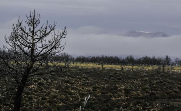 Siete militares heridos en unas maniobras en el campo de tiro de El Teleno, en León