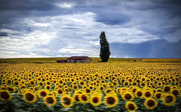 La salmantina Belén Rodríguez finalista ganadora en la XV Edición del concurso de Fotografía Rural de ámbito nacional