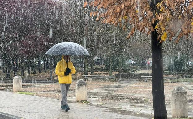 La primera nevada desde 'Filomena' llega a Valladolid capital