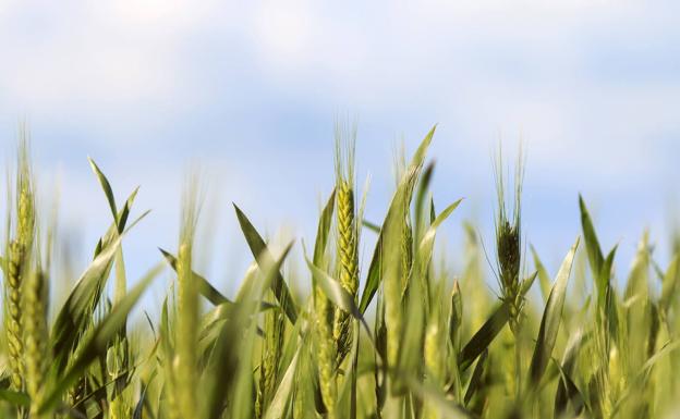 Soluciones para una agricultura más sostenible