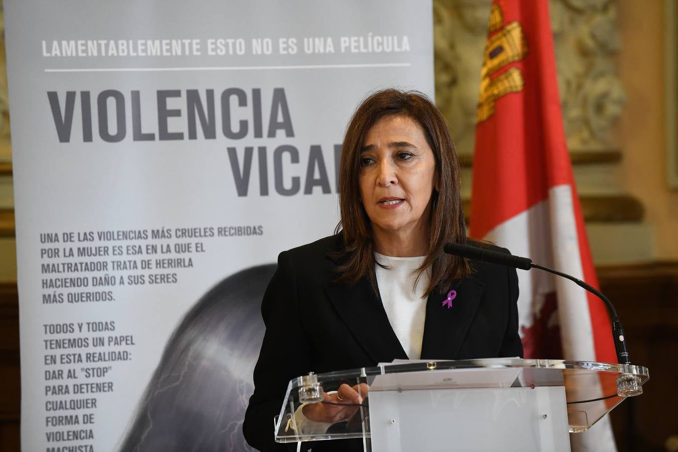 Actos en Valladolid en el Día Internacional contra la Violencia hacia las Mujeres