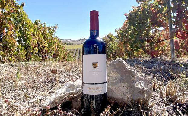 Pinna Fidelis Roble Español 2019, el Tempranillo mejor valorado del AWC Vienna