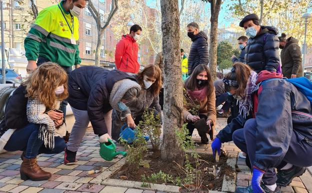 Diecisiete asociaciones se suman a 'Alcorques savios' para favorecer la biodiversidad en los barrios y la participación ciudadana