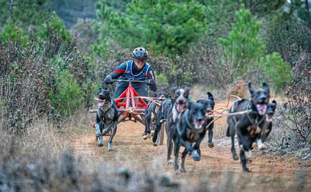 La Media Distancia debutará en el Campeonato de España sobre tierra en Ólvega