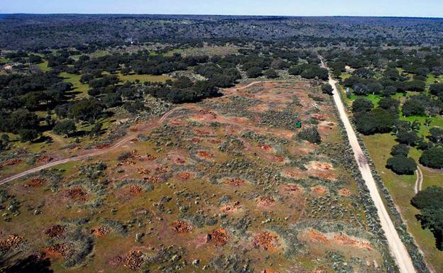 El BOE publica la denegación a Berkeley de la construcción de la planta de concentrado de uranio en Retortillo