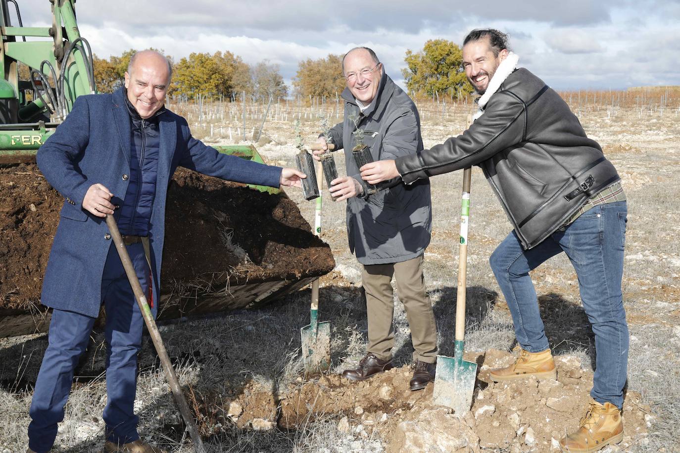 Bodega Emina planta cerca de 800 encinas micorrizadas con trufa negra