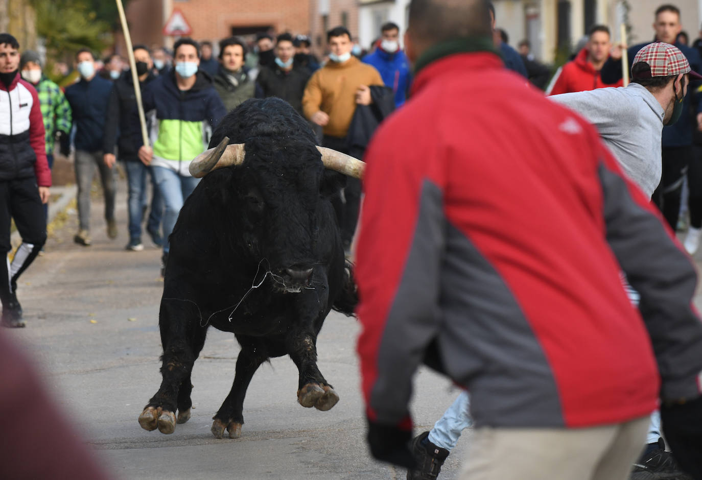 Un toro siembra el pánico en el encierro de Pollos