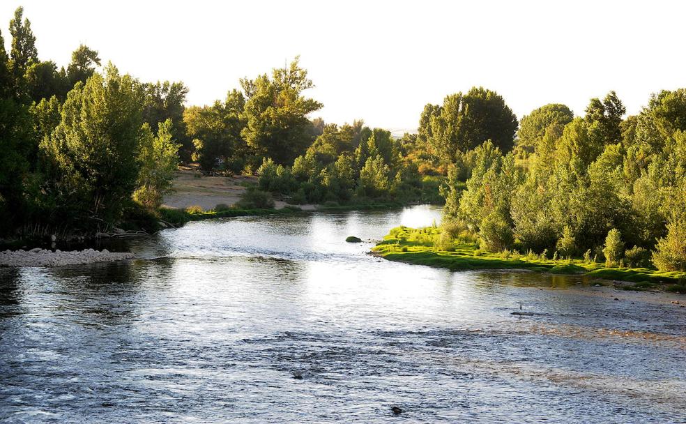 La senda de los Almendros, en la ribera de Castronuño