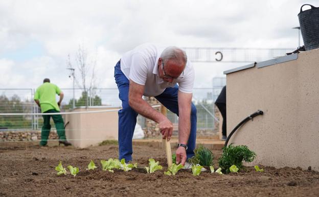 La Junta destaca como obras públicas sostenibles los huertos urbanos y el aparcamiento de La Aldehuela