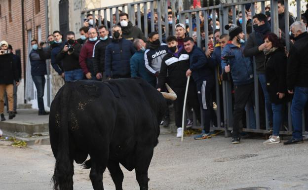 El accidente por el vencimiento de la talanquera en el encierro de Pollos no se investigará