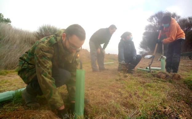 Palazuelo de Vedija reforesta una parcela con más de 160 árboles y arbustos