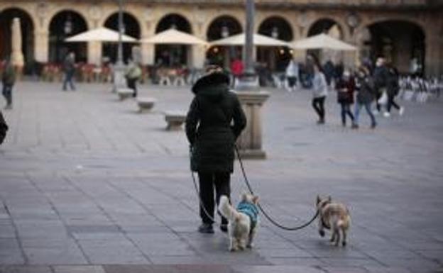 Cuatro nuevos fallecimientos empañan las cifras de los nuevos contagios que en las últimas 24 horas son 37