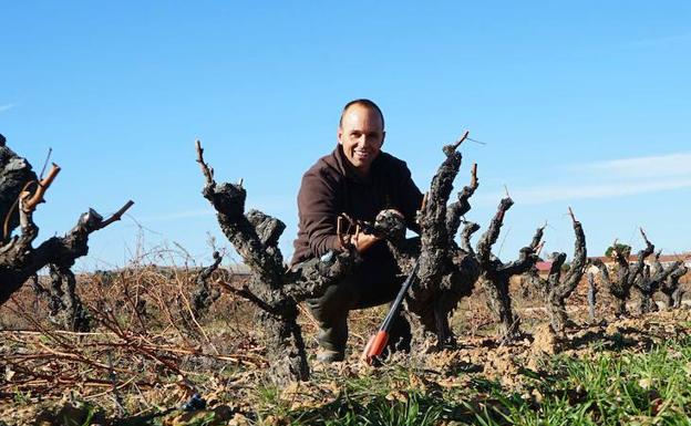 Daniel Pérez Herrero, viticultor del año para el Master of Wine Tim Atkin