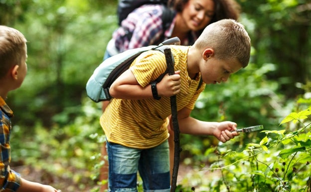 Impulsar la educación ambiental para proteger los derechos humanos