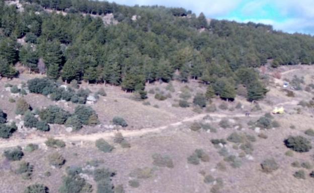 Muere un hombre tras recibir un disparo en una cacería en Ávila