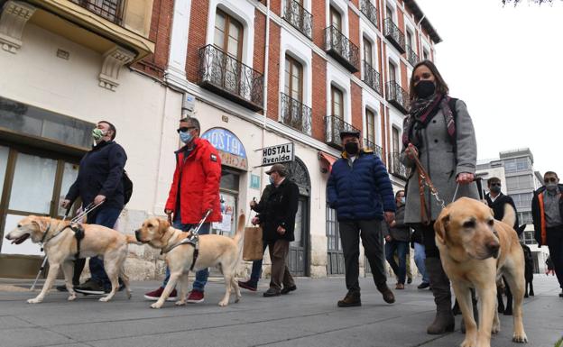 La ONCE honra a su patrona con una marcha para reivindicar la labor de sus perros guía