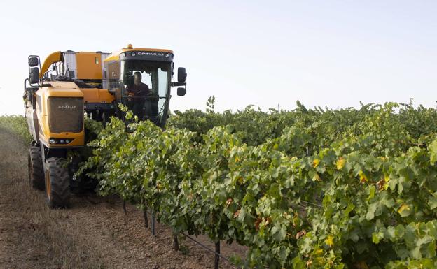 La DO Rueda conforma el pleno y deja pendiente la elección de presidente