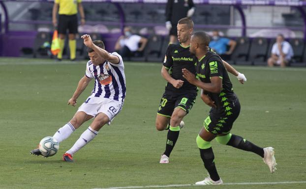 El Real Valladolid recibirá en Zorrilla al Betis en tercera ronda de la Copa del Rey