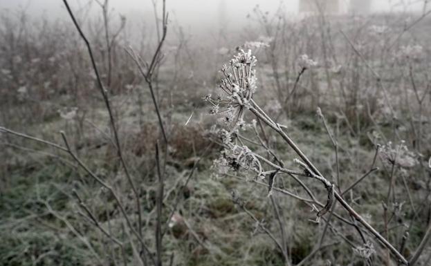 Zamora y Burgos, entre las temperaturas más bajas de todo el país
