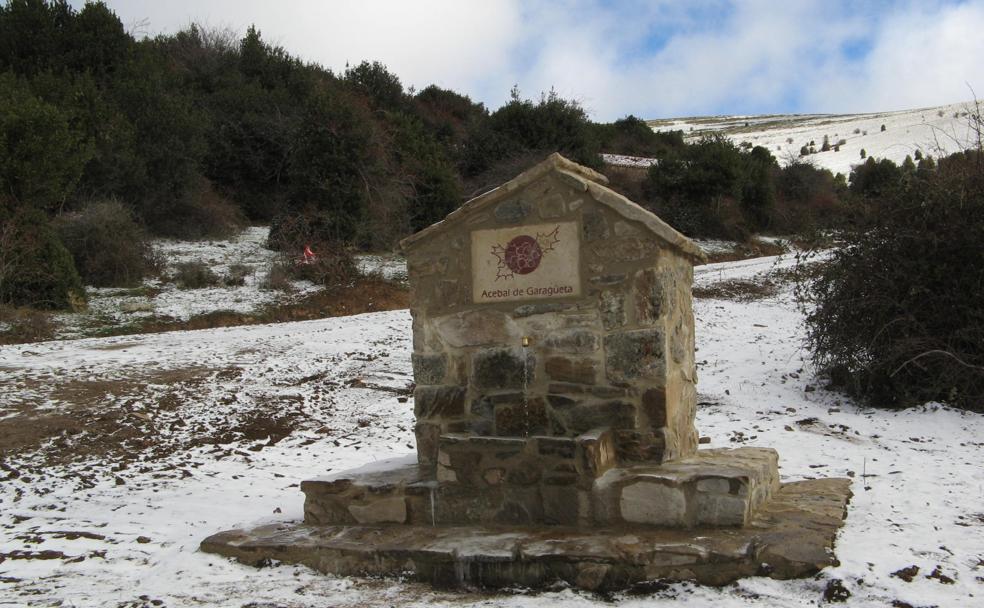 Ruta por los acebales de Soria: una escapada navideña