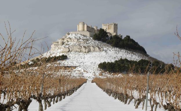 La Ruta del Vino Ribera del Duero recibirá 1,8 millones de euros de inversión para impulsar el enoturismo