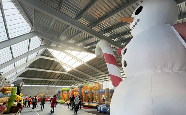 Navichulis sin colas en Carbajosa