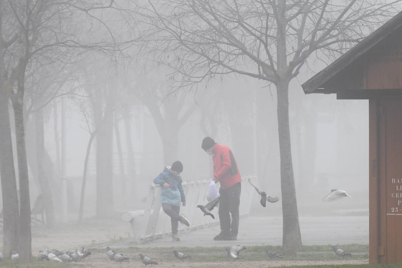 La ciudad de Valladolid despide el año con niebla