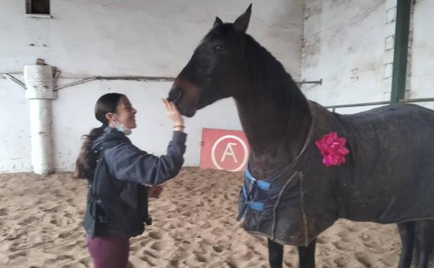 Desaparecen 12 caballos del Centro Ecuestre Overuela en la madrugada del martes