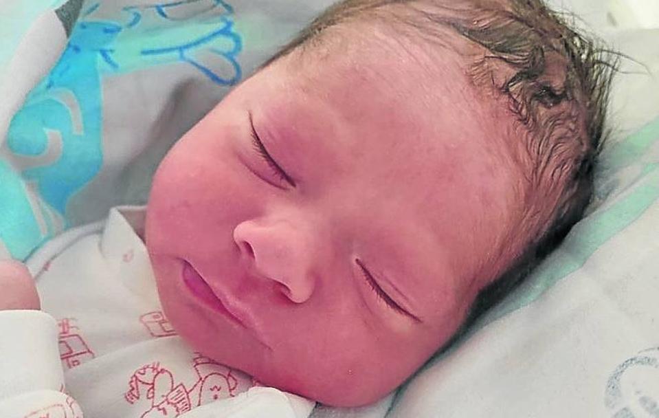 La cigüeña no visita el hospital de Palencia en Año Nuevo