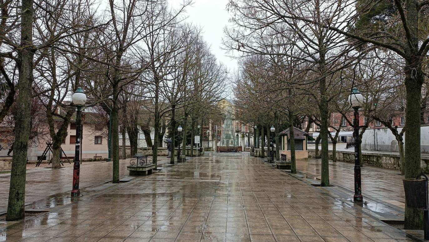 Expertos estudiarán el crecimiento de las especies arbóreas en Cuéllar